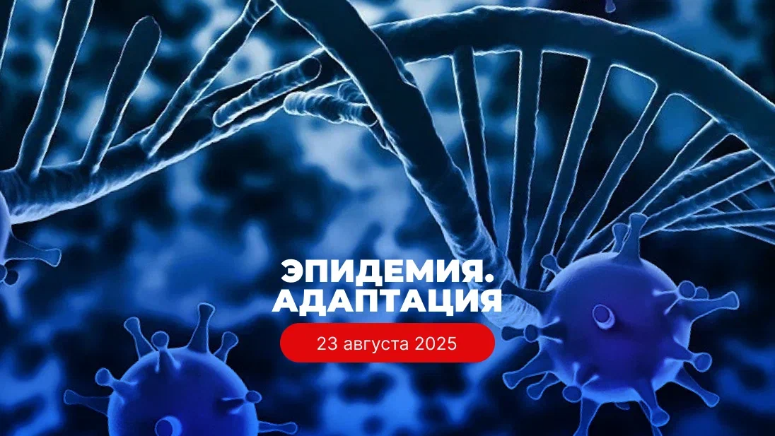 ЭПИДЕМИЯ. АДАПТАЦИЯ