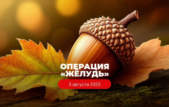 Операция «Жёлудь»