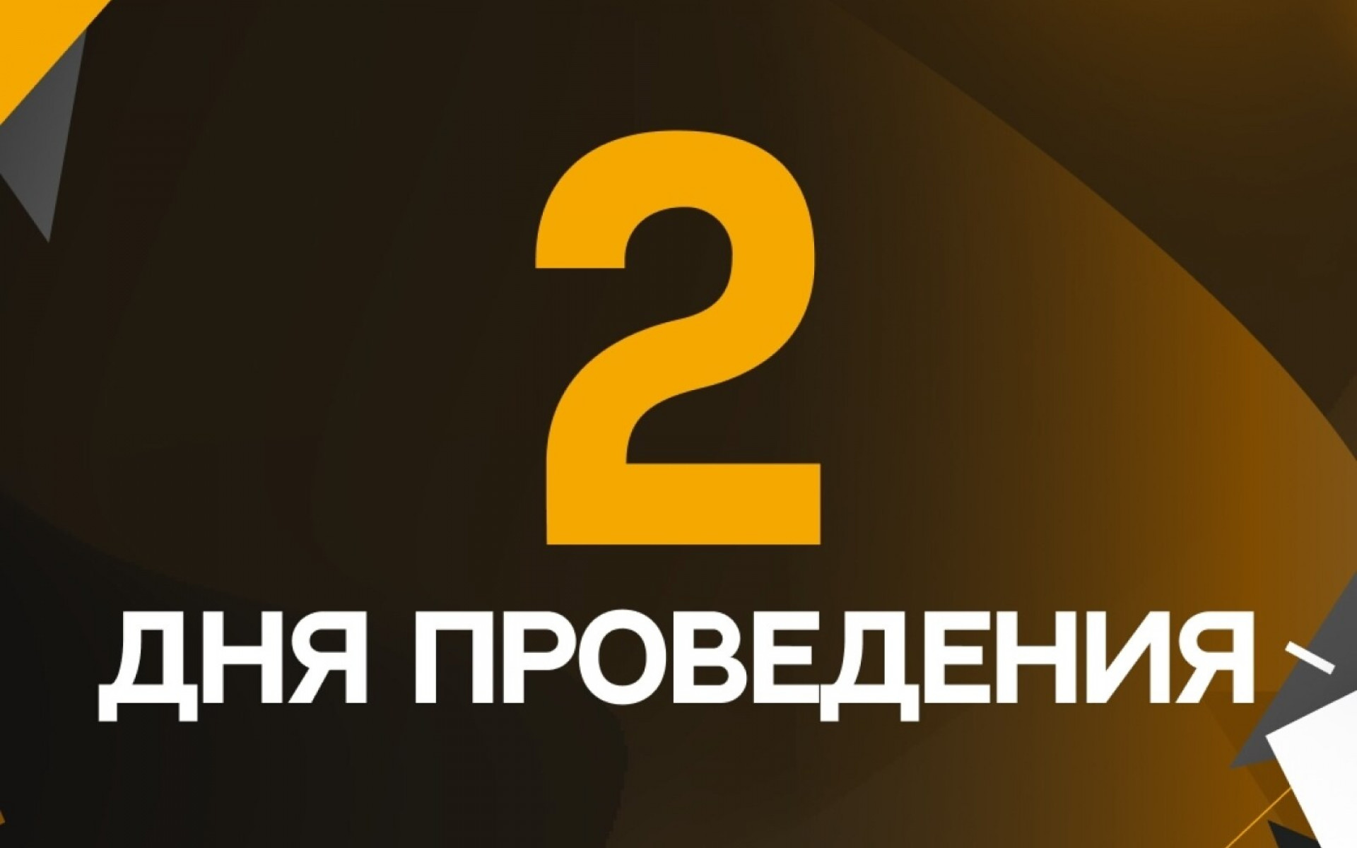 GOLDEN CUP 5.0 В ЦИФРАХ