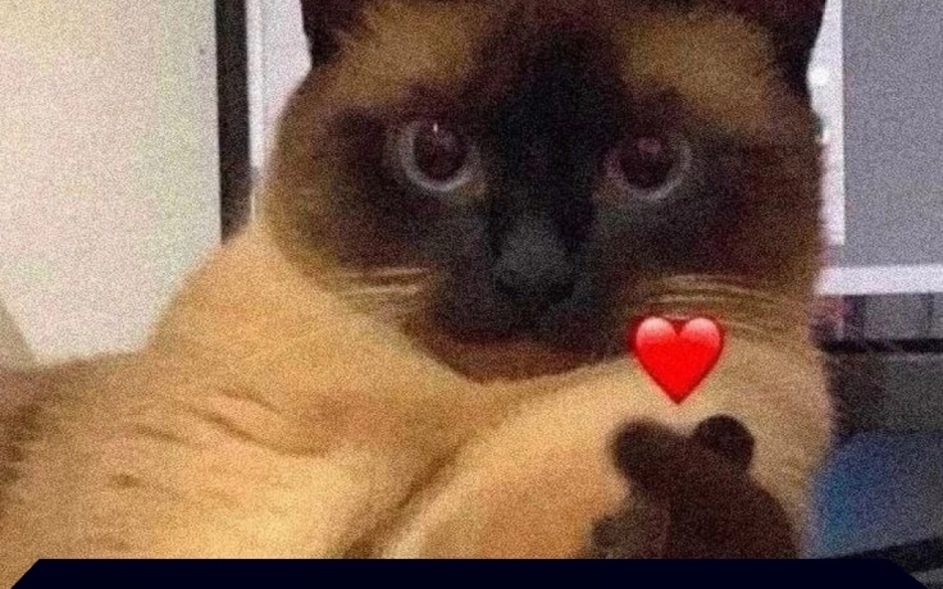 ПОДДЕРЖИТЕ НАШЕ СООБЩЕСТВО❤️
