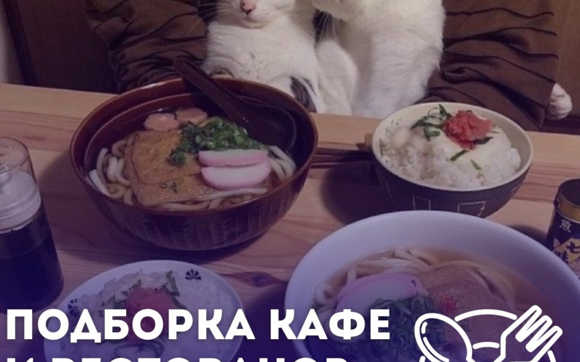 ПОДБОРКА КАФЕ И РЕСТОРАНОВ