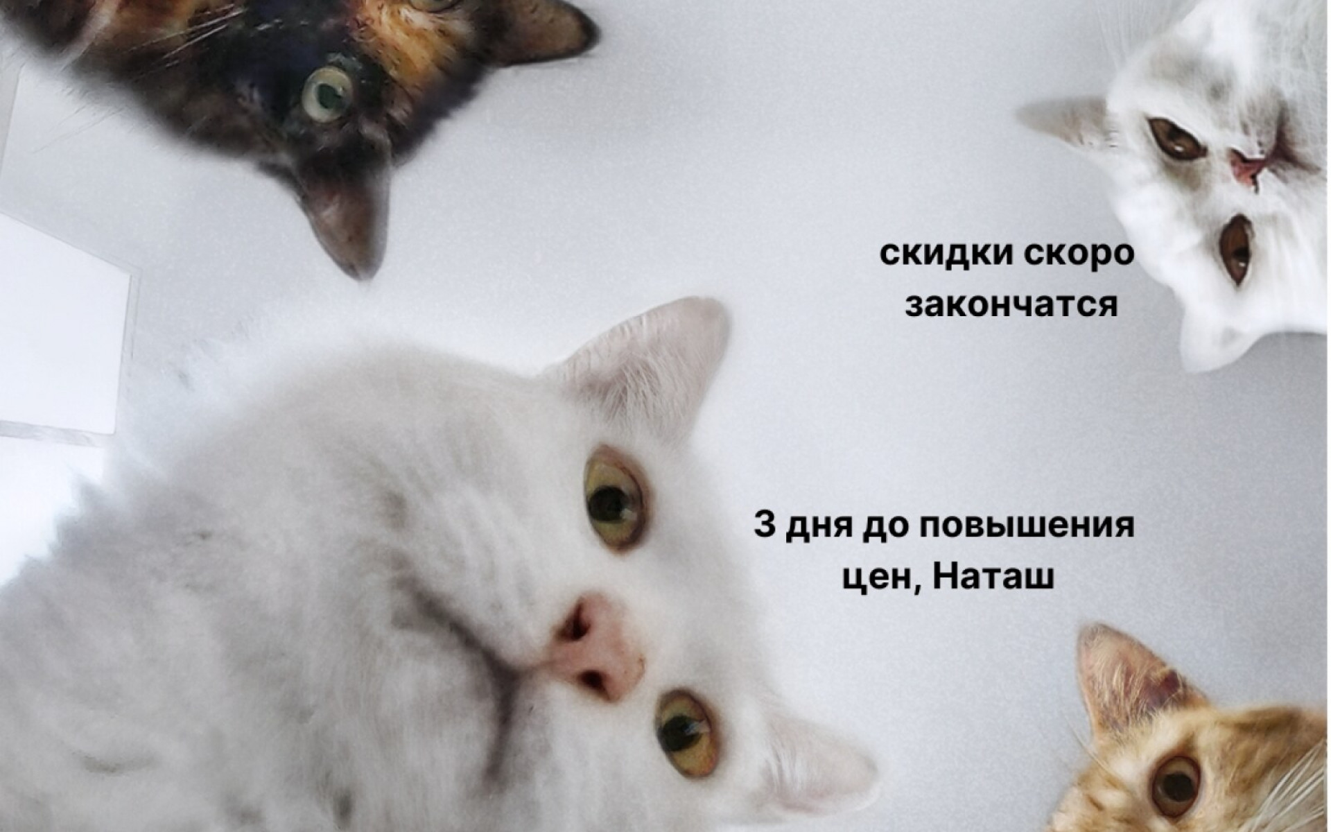 А мы напоминаем, что через 3 дня цены на билеты на форум поднимутся!
