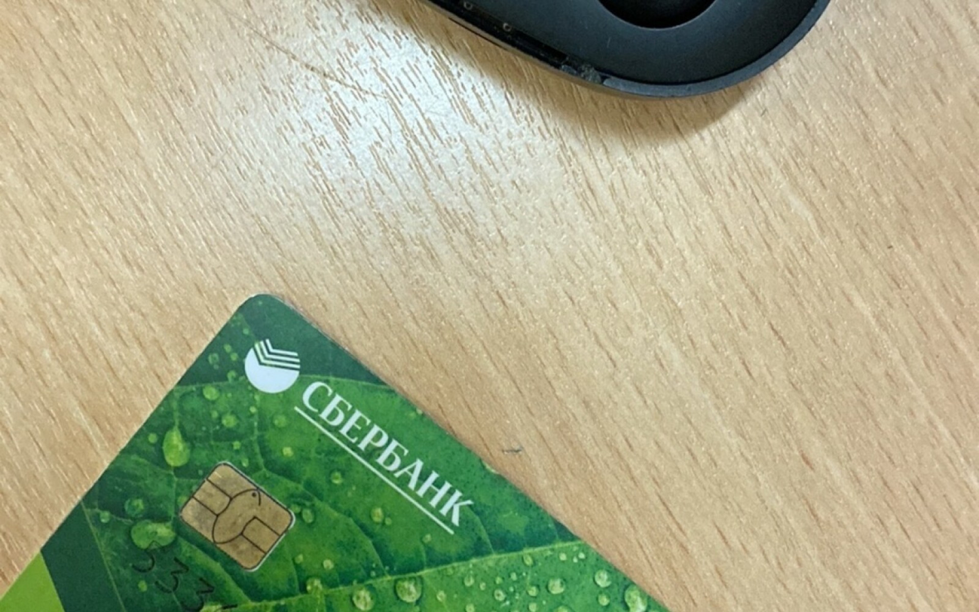 Друзья, у нас потеряшки