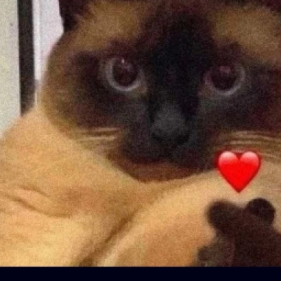 ПОДДЕРЖИТЕ НАШЕ СООБЩЕСТВО❤️