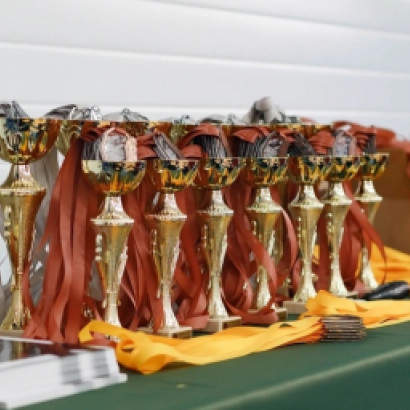 КАТЕГОРИИ 35+ БЫТЬ: GOLDEN CUP 4.0