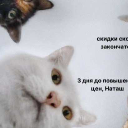 А мы напоминаем, что через 3 дня цены на билеты на форум поднимутся!